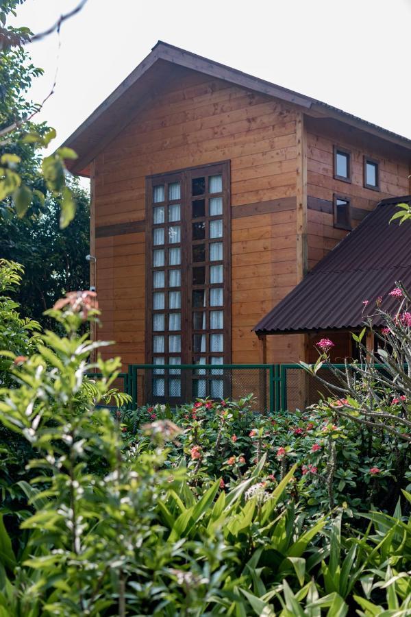 The Pine Loft Villa Bangalore Luaran gambar